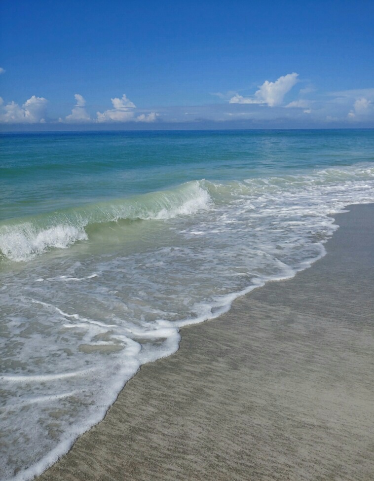 Walk With Me
